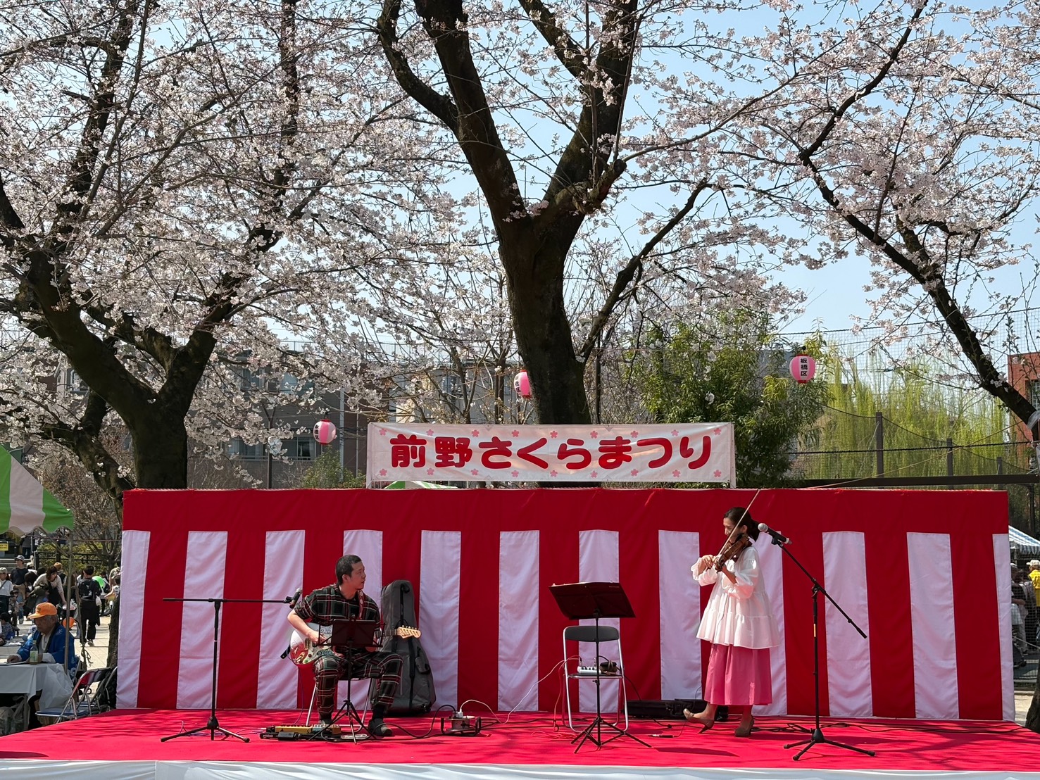さくら祭りで夫婦で演奏してきました。